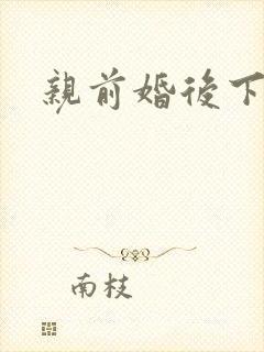 亲前婚后下载