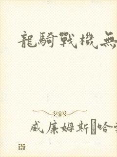 龙骑战机无弹窗