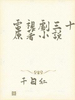 电视剧三十而已原著小说