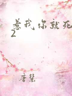 惹我你就死定了2
