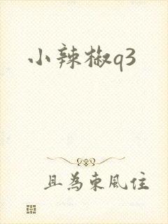 小辣椒q3