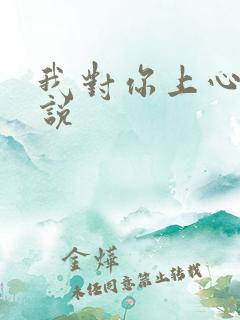 我对你上心了小说