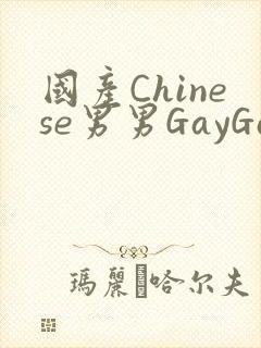 国产Chinese男男GayGayAPP