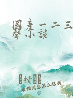 国产一二三区有声小说