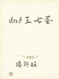dnf王七蛋