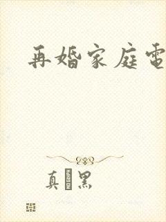 再婚家庭电视剧