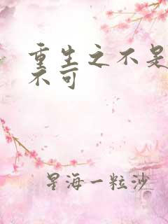 重生之不是非你不可