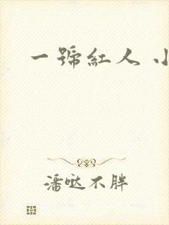一号红人 小说