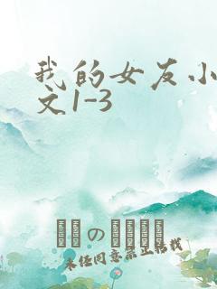 我的女友小洁全文1-3