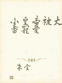 小皇帝被大臣轮番宠爱