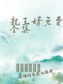 龙王婿免费完结全集