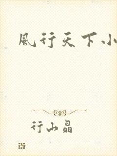 风行天下小说