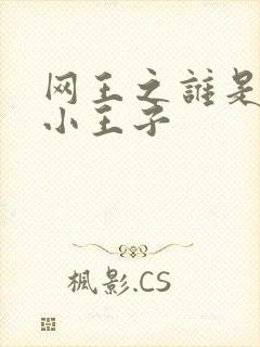 网王之谁是我的小王子