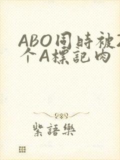 ABO同时被2个A标记肉