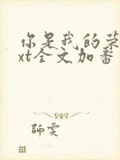 你是我的荣耀txt全文加番外