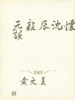 元毅辰沈怀妆小说