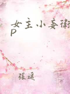 女主小妾卫府NP