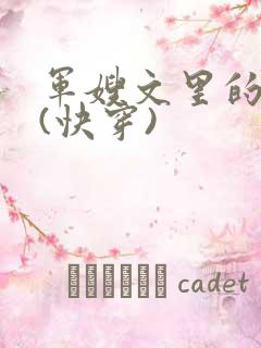 军嫂文里的女配(快穿)