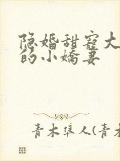 隐婚甜宠大财阀的小娇妻