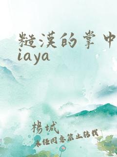 糙汉的掌中花Niaya