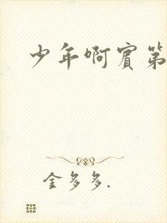 少年啊宾第二部