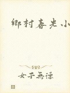 乡村春光小说