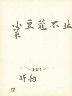 小豆蔻不止是颗菜