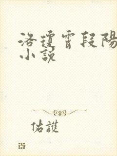 洛琼霄段阳澍的小说