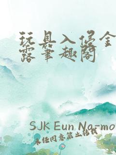 玩具入侵金银花露笔趣阁