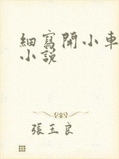 细写开小车车的小说