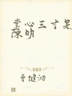 掌心三寸是人间陈明