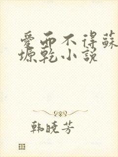 爱而不得苏路顾塬乾小说