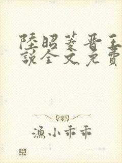 陆昭菱晋王的小说全文免费阅读