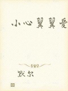 小心翼翼爱上你