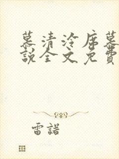 慕清泠席慕深小说全文免费阅读