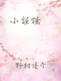 小说镜