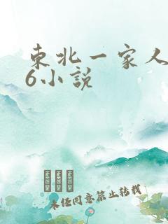 东北一家人1一6小说