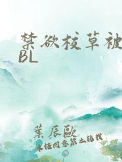 禁欲校草被C哭BL