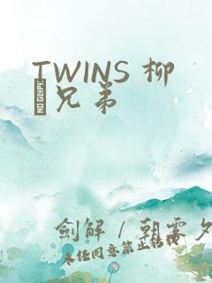 TWINS 柳澤兄弟