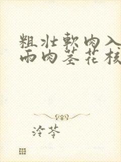 粗壮软肉入户云雨肉茎花核