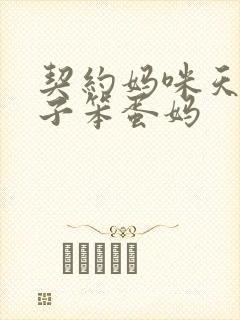 契约妈咪天才儿子笨蛋妈