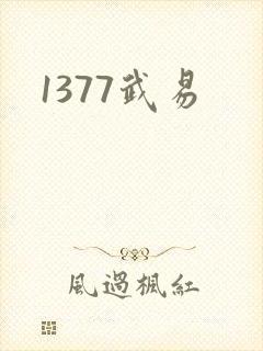 1377武易