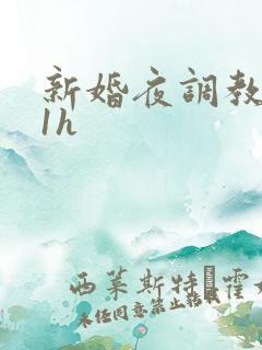 新婚夜调教1v1h