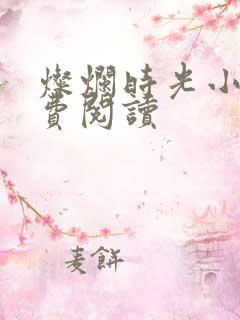 灿烂时光小说免费阅读