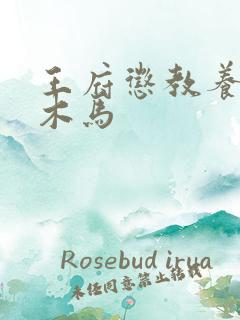 王府惩教养日常木马