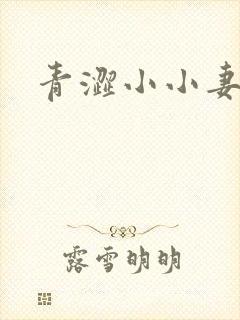 青涩小小妻