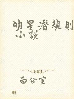 明星潜规则之皇 小说