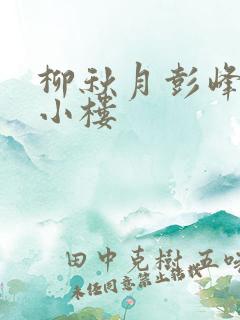 柳秋月彭峰月满小楼