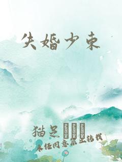 失婚少东