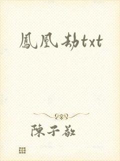 凤凰劫txt